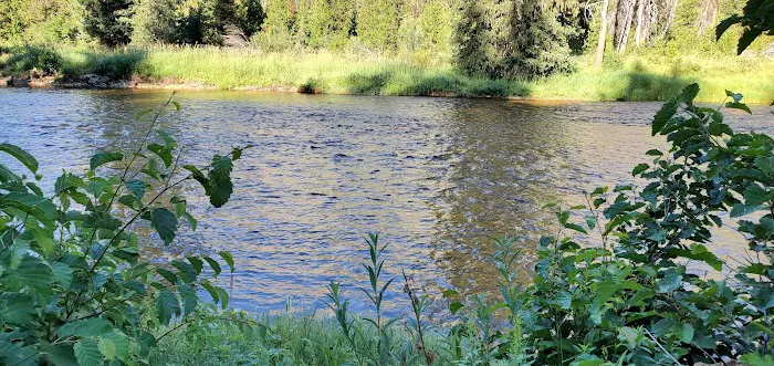 Ice Hole Campground 3