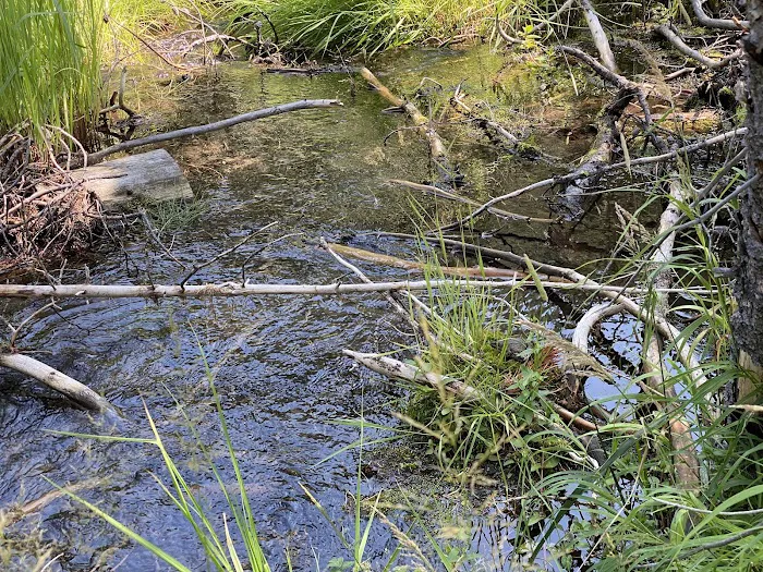 Big Creek Campground 9