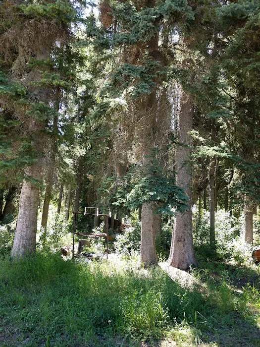 Big Creek Campground 6