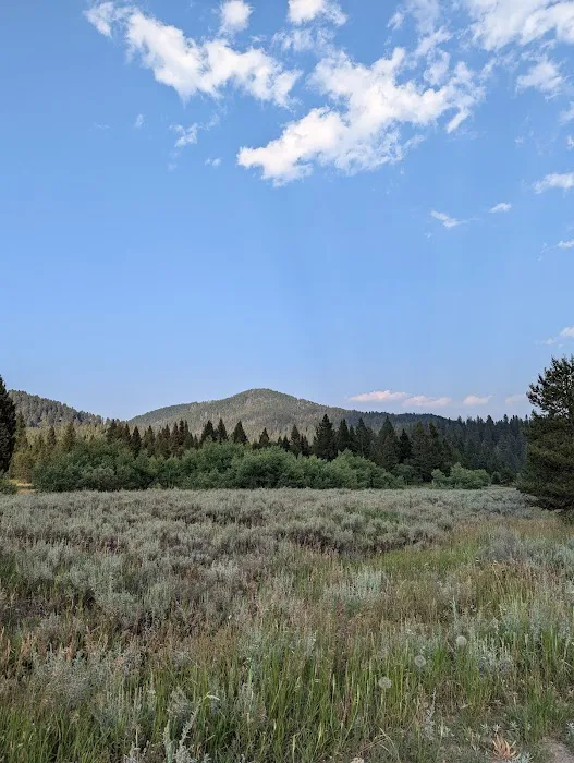 Cottonwood Creek 0