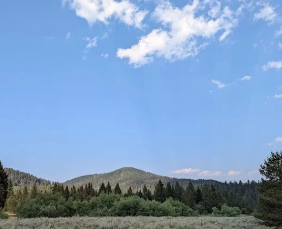 Cottonwood Creek
