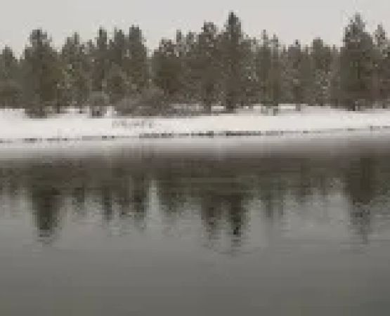 Island Park Ranger Station