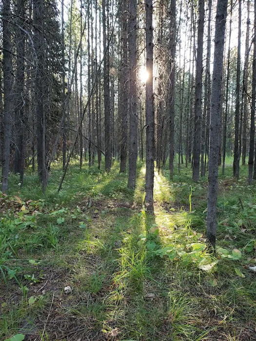 Buffalo Campground 8