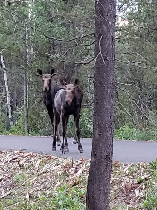 Buffalo Campground 5