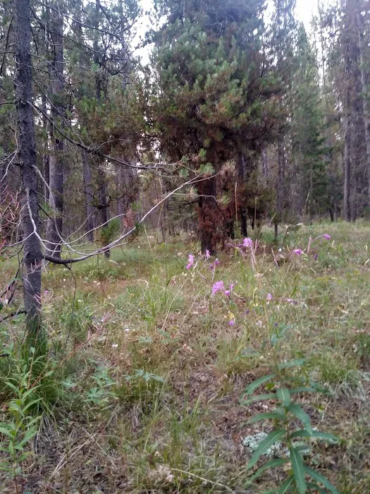 Buttermilk Campground 9