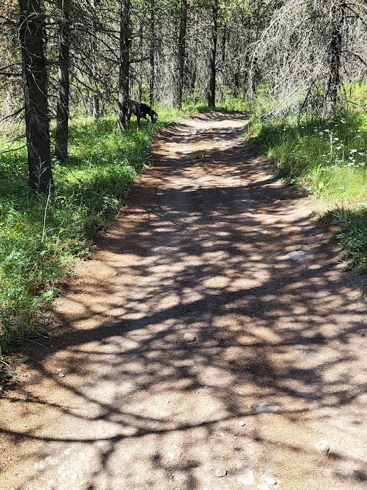 Mill Creek Campground 8
