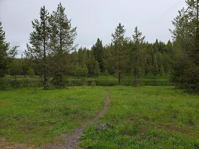 Upper Coffeepot Campground 4