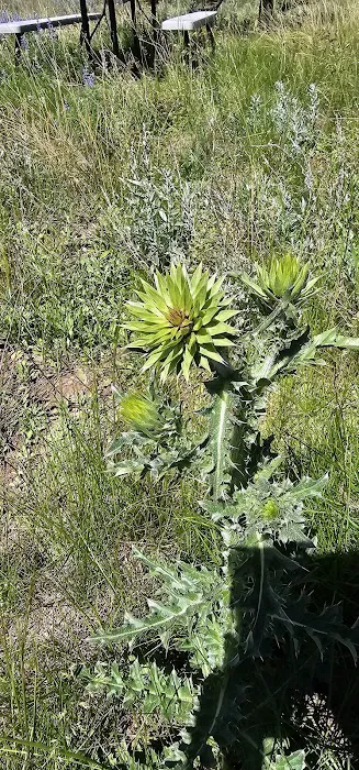 Flat Rock (Idaho) 5
