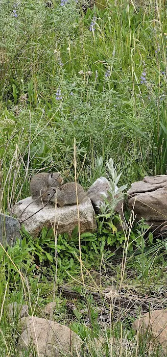 Flat Rock (Idaho) 8