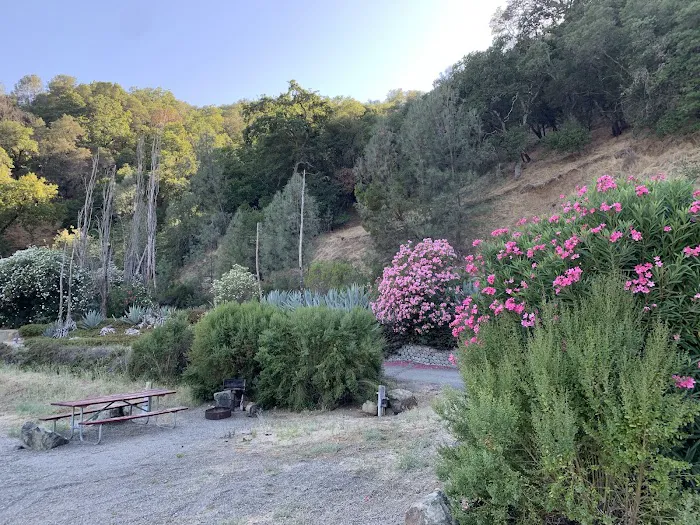 Pleasure Cove campground 4