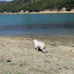 Pleasure Cove campground