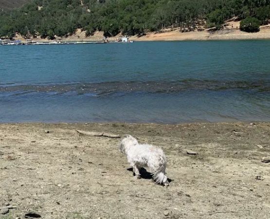Pleasure Cove campground