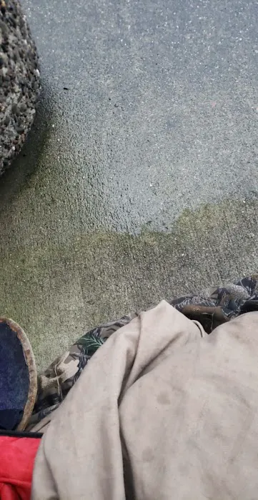 my semi-dry place to lay my head 0