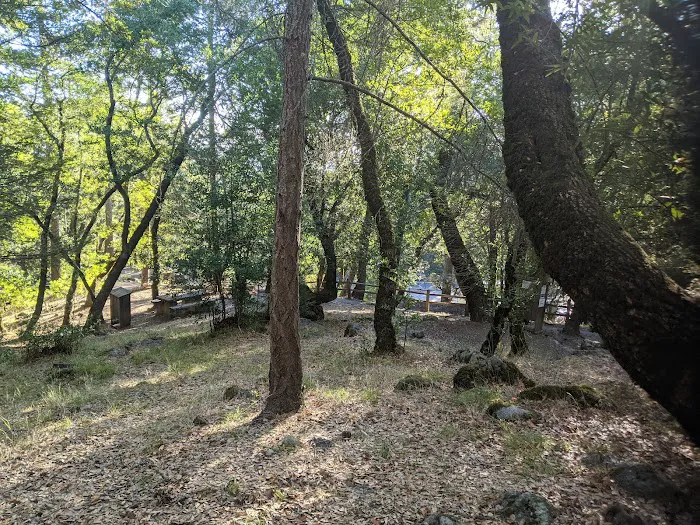 Bootjack Campground 0