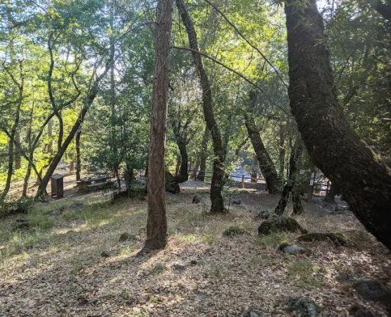 Bootjack Campground