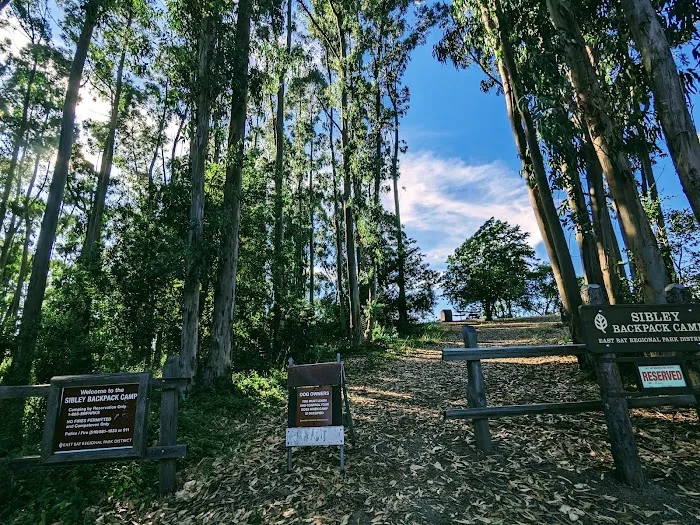 Sibley Backpack Camp 1