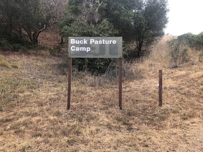 Buck Pasture 0