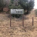 Buck Pasture