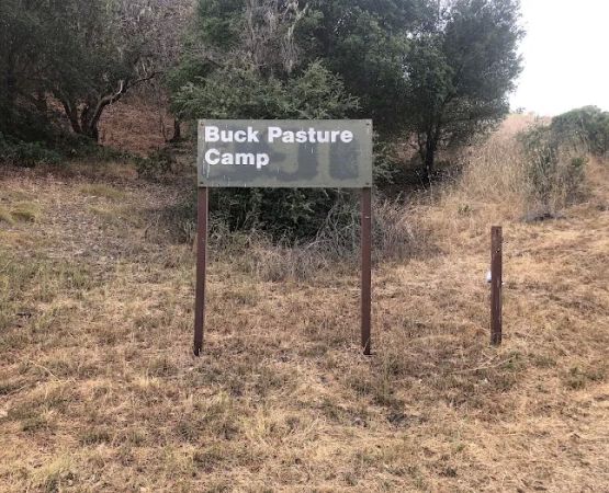 Buck Pasture