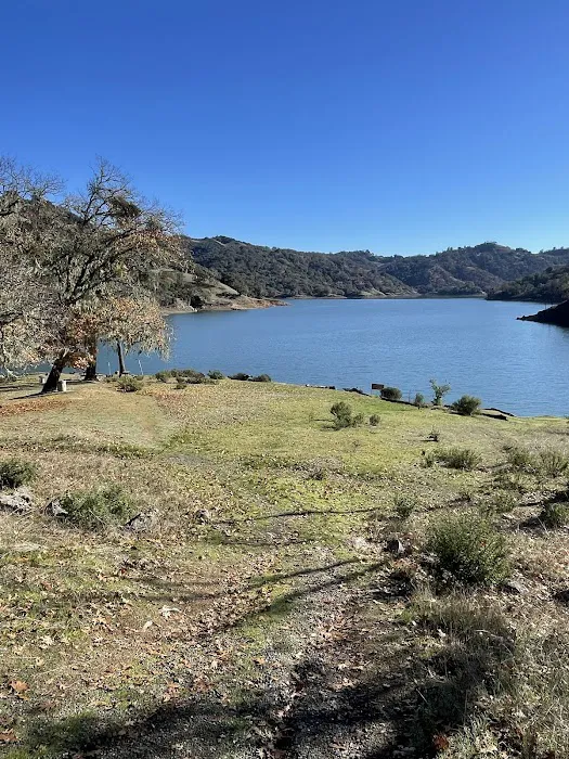 Madrone Point Camp 0
