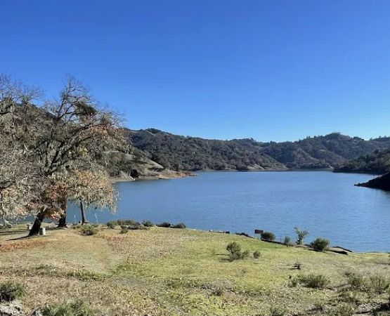 Madrone Point Camp