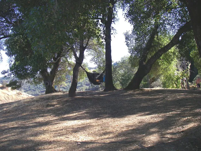 Homestead Camp 1