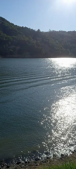 Boat-In Sites (LakeSonoma) 0