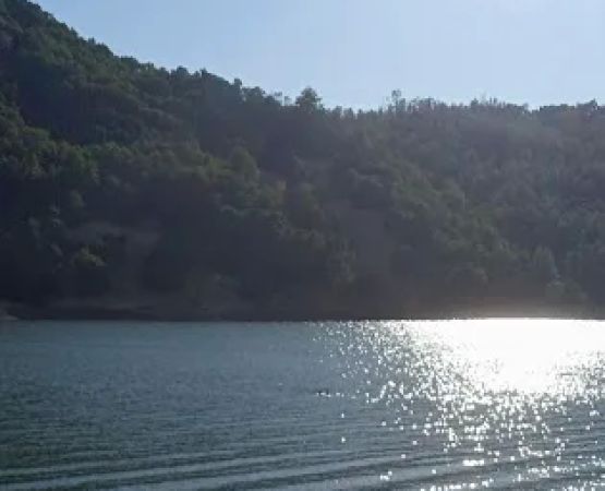 Boat-In Sites (LakeSonoma)