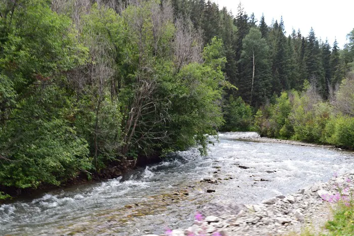 Snowden Meadow 0