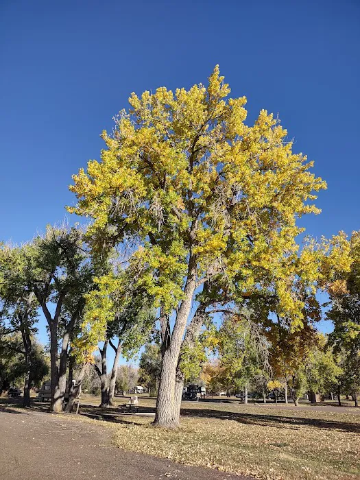 Cottonwood Grove Campground Cherry Creek State Park 3