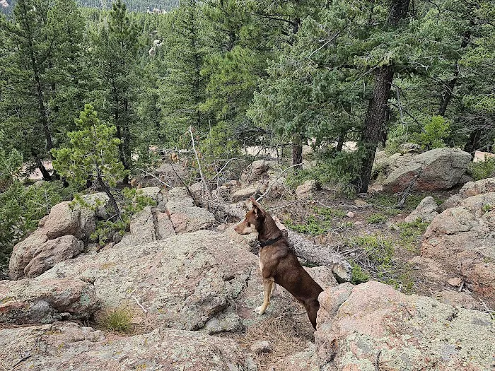 Rampart Range 7