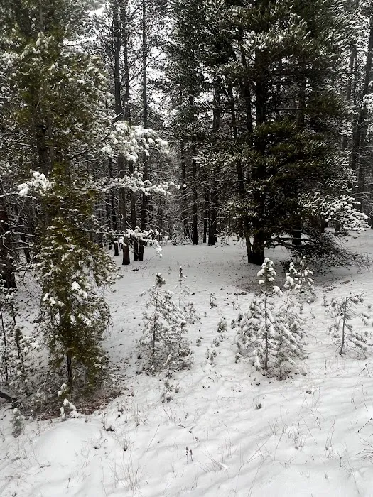 Tennessee Pass Trailhead 5
