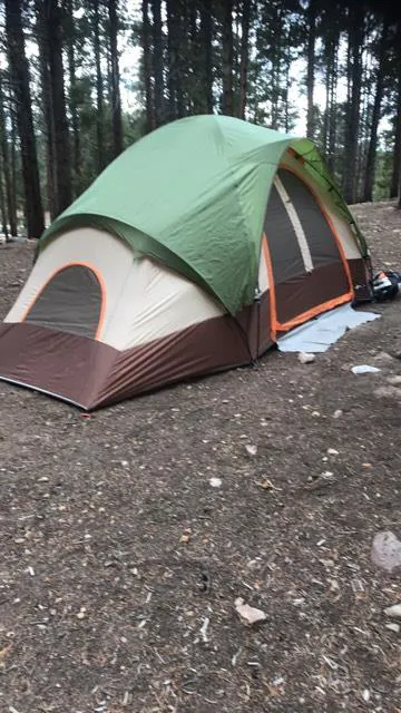 Printer Boy Campground 3