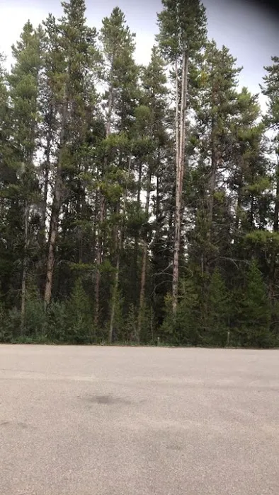 Printer Boy Campground 4