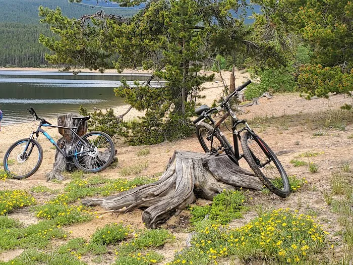 Baby Doe Campground 8