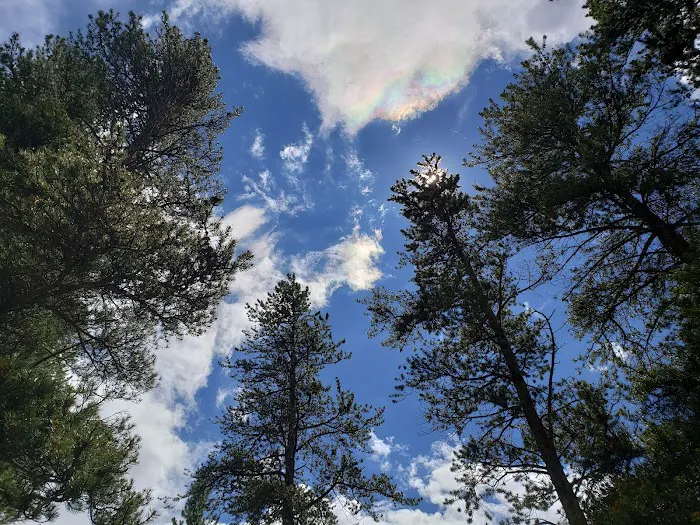 Baby Doe Campground 5
