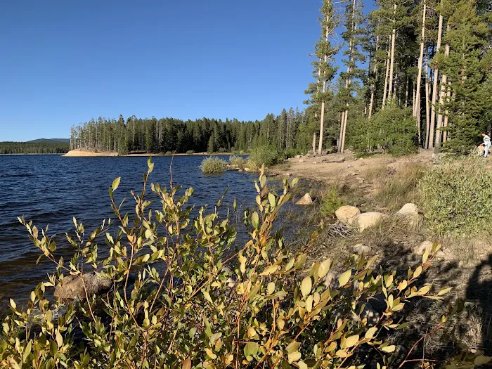 Matchless Campground 9