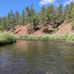 Bridge Crossing Picnic Area