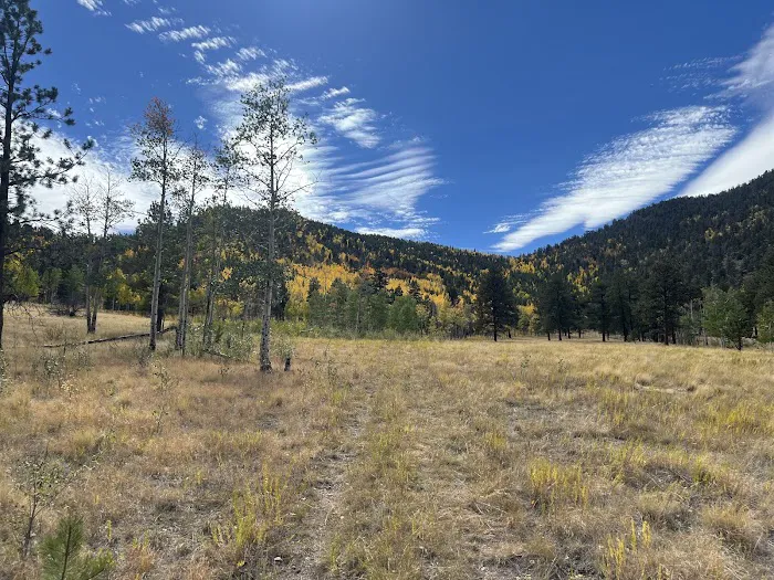 Dispersed Camping Near 11 Mile Res 6