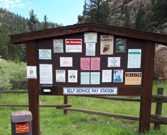 Springer Gulch