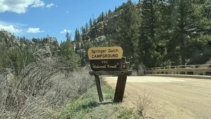 Springer Gulch 4