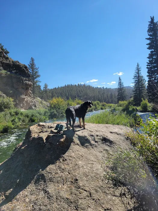 Springer Gulch 6