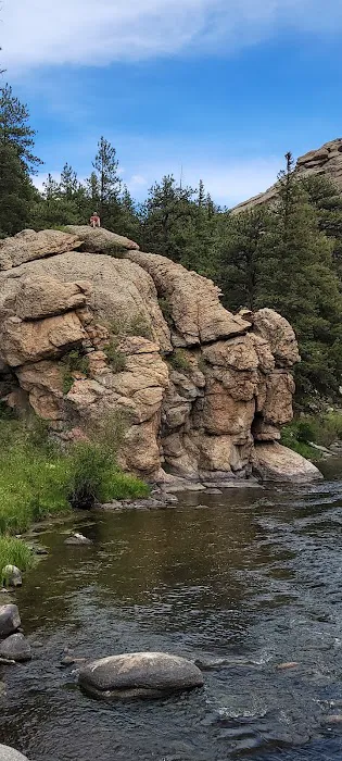 Springer Gulch 1