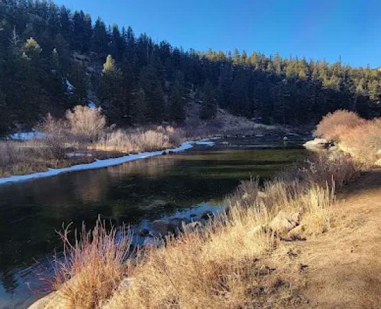 Cove Campground