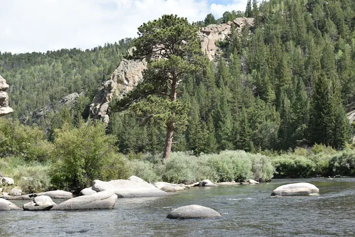 Spillway Campground, Eleven Mile Canyon 5