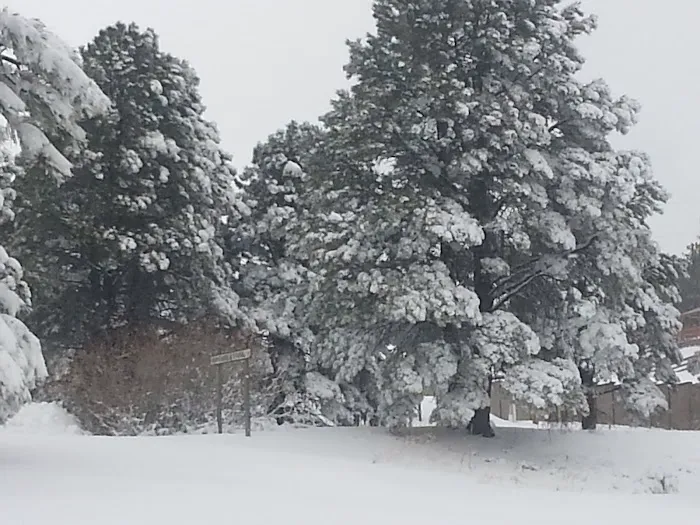 Colorado Heights Sales 1