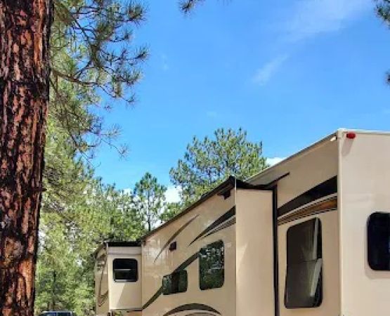 Peregrine Pines Air Force Academy FamCamp