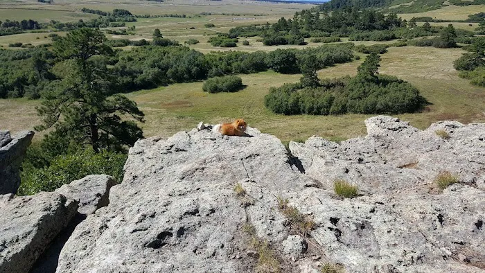 Lincoln Mountain Open Space 2