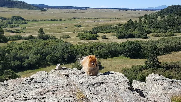 Lincoln Mountain Open Space 4