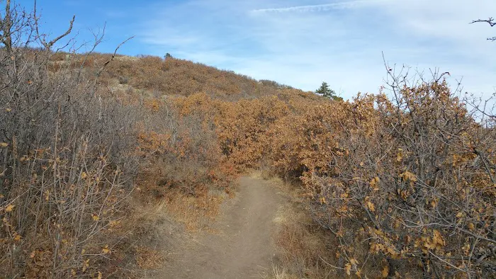 Lincoln Mountain Open Space 5